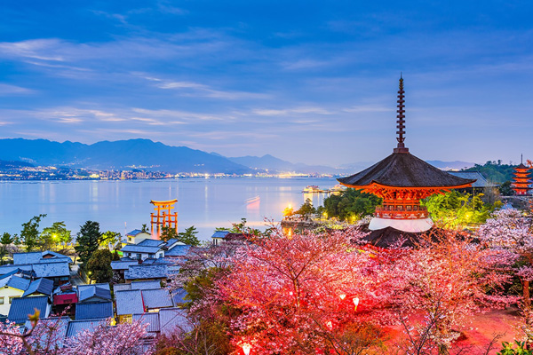 Splendors of Japan - Cherry Blossom Package